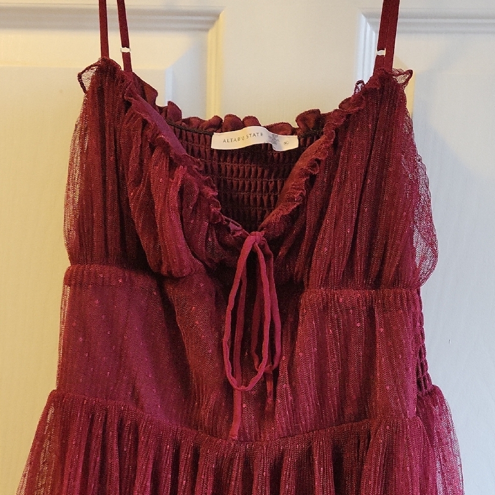 Elegant Burgundy Tulle Dress - Picture 2 of 4
